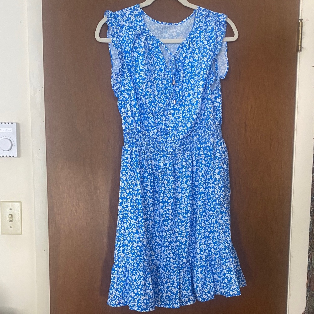Blue Floral Sleeveless Dress